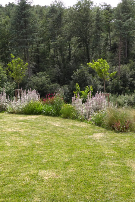 Family garden, Lastra a Signa