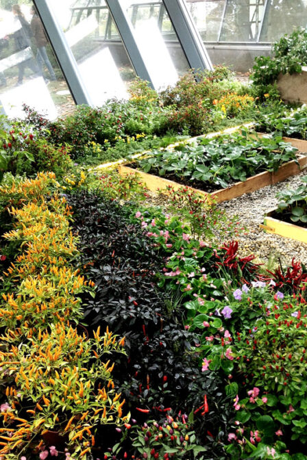 Giardino d’amor novo. Show garden